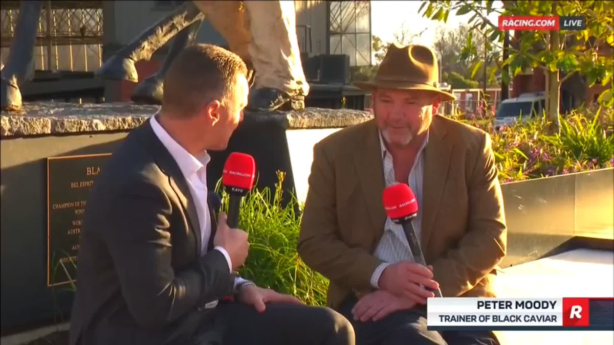 "God bless her." Trainer Peter Moody reflects on the life of wonder mare, Black Caviar 🖤 Nigel Carmody