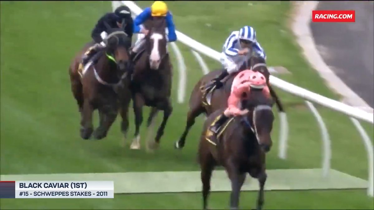 Perfection! 💯 Do yourself a favour & watch Black Caviar's 25 wins from 25 starts 🍿 Which victory was your favourite?
