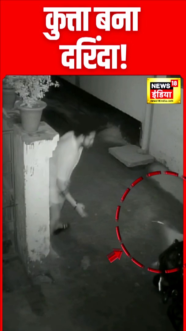 उत्तर प्रदेश के गोरखपुर में एक कुत्ते की दहशत से घर में क़ैद हुए लोग #upnews #gorakhpur #cmyogi