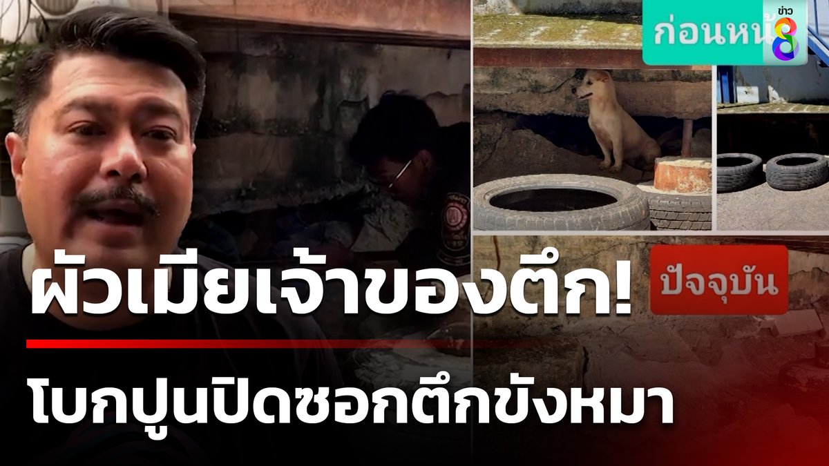 "วัน อยู่บำรุง" ช่วยหมาจรจัดท้องแก่ ถูกผัวเมียแสบโบกปูนปิดทางออก ขังอยู่ใต้ซอกตึก #คุยข่าวเช้าช่อง8 #วันอยู่บำรุง #หมาจรจัด #ทุบตึก #ข่าวช่อง8 #ข่าวช่อง8ที่นี่ของจริง #ข่าวออนไลน์ช่อง8