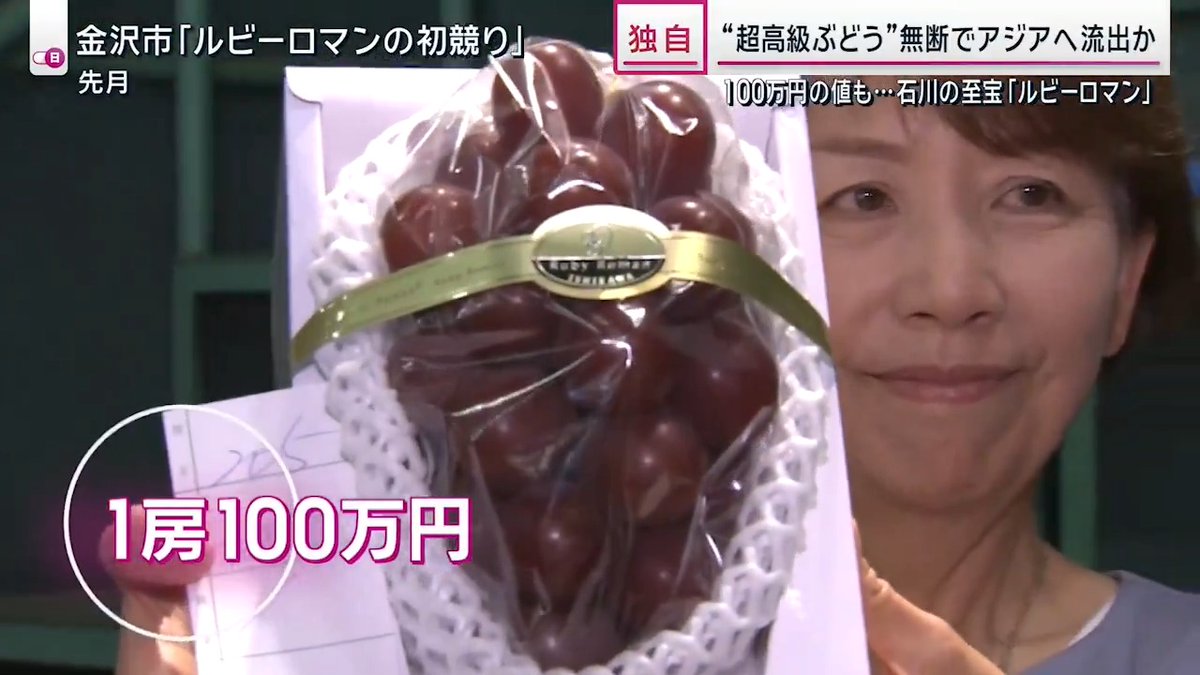 ANN on Japan's expensive Ruby Roman grapes: •the grapes are only sold if they meet strict size, weight, and sugar standards •they took years to develop, but seeds were taken to Korean without permission, where substandard copies are being sold