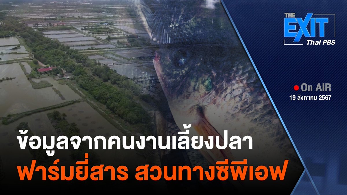 ข้อมูลจากคนงานที่ทำงานในฟาร์มยี่สาร จ.สมุทรสงคราม ระบุถึงการเพาะเลี้ยง #ปลาหมอคางดำ ตรงกันข้ามกับข้อมูลที่ผู้บริหารซีพีเอฟชี้แจงว่า ได้เคยทำลายปลาหมอคางดำและยุติการศึกษาวิจัยไปแล้ว 🎬 ชมย้อนหลัง #ข่าวค่ำ #ThaiPBS #ข่าวไทยพีบีเอส #ข่าวที่คุณวางใจ