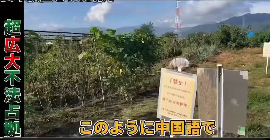 中国人が長野県千曲川の河川敷で勝手にヤミ畑や鶏小屋まで建て、どんどん開拓して自治体も困って問題になっているが、当の中国人は「来年はダメね」とはぐらかすだけ。 ゴミも捨て放題だしこれ何ヘクタール侵略しているんだ？ これちゃんと取り締まった方がいい💢