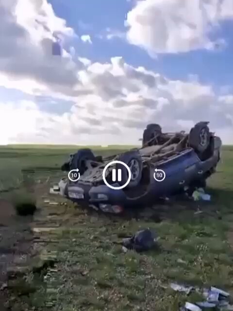 المنغوليين فقدوا أعصابهم من القطريين الذين يكشتون ويصيدون الصقور عندهم، ، يفتحون بث مباشر ويوثقون اعتداءاتهم عليهم واجبروهم على إطلاق الطيور وقلبوا سياراتهم