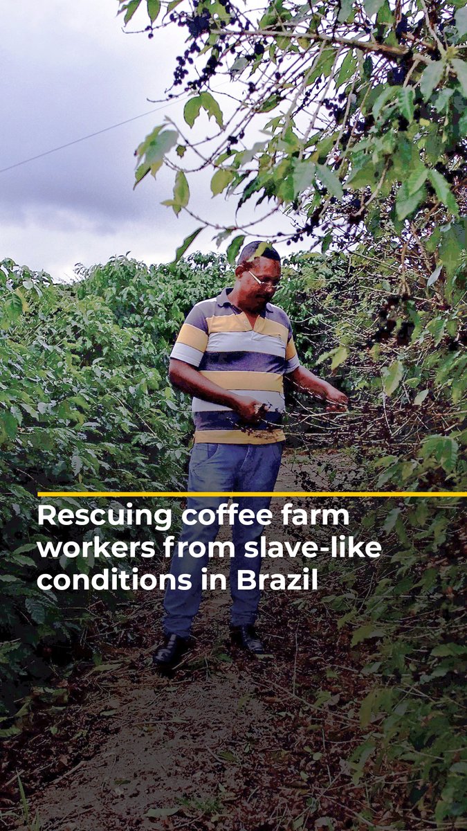 In Brazil, the world’s largest exporter of coffee, one man is on a mission to prevent slave labour on coffee farms. Follow Jorge Ferreira’s story as he rescues workers. Watch The Human Cost of Coffee here: | Rodrigo Hernandez Zungu Coop.
