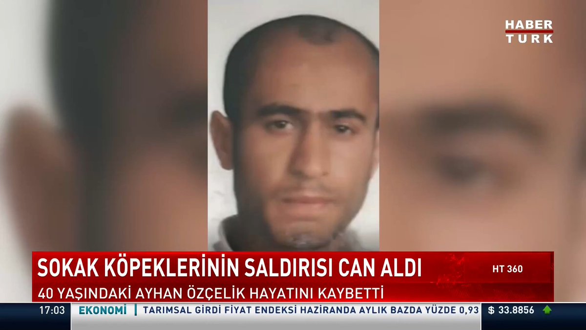 Sokak köpeklerinin saldırısı can aldı. 40 yaşındaki Ayhan Özçelik hayatını kaybetti.