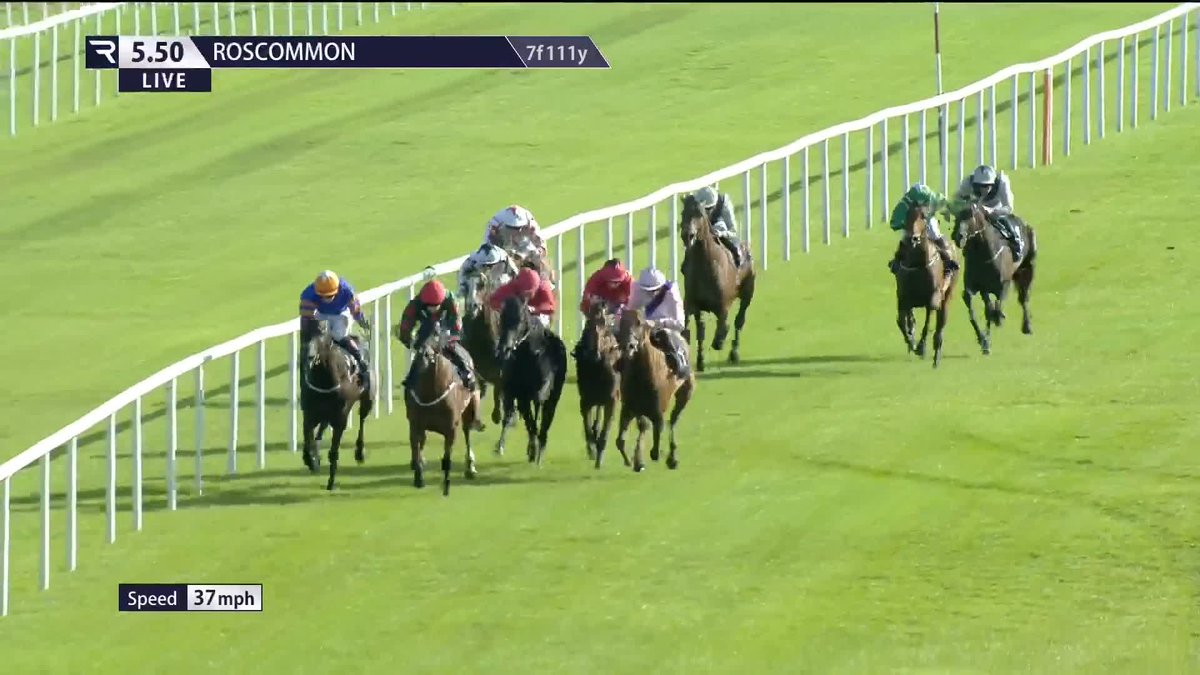 Off the mark 👊 J'Adore Chris needed keeping up to her work late on but she's now a winning daughter of Churchill. Paddy | @wjlee24786