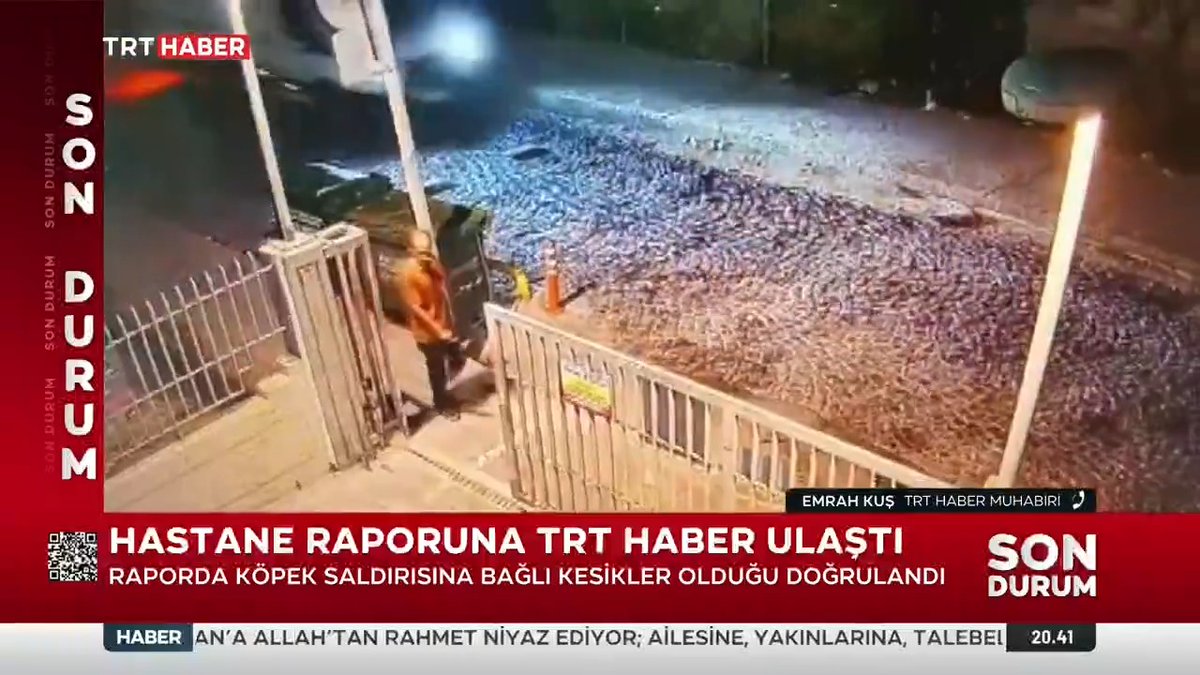 İstanbul Fatih'te başıboş köpeklerin öldürdüğü Ayhan Özçelik'in hastane raporuna TRT Haber ulaştı. 📌 Saldırıya bağlı 10 santimetrelik kesikler tespit edildi. 📌 Sürüklendiğine dair bulgulara rastlandı.