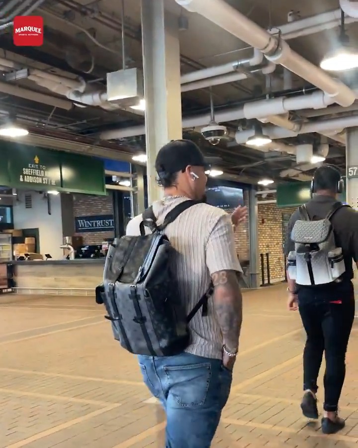 javy is a cub for life