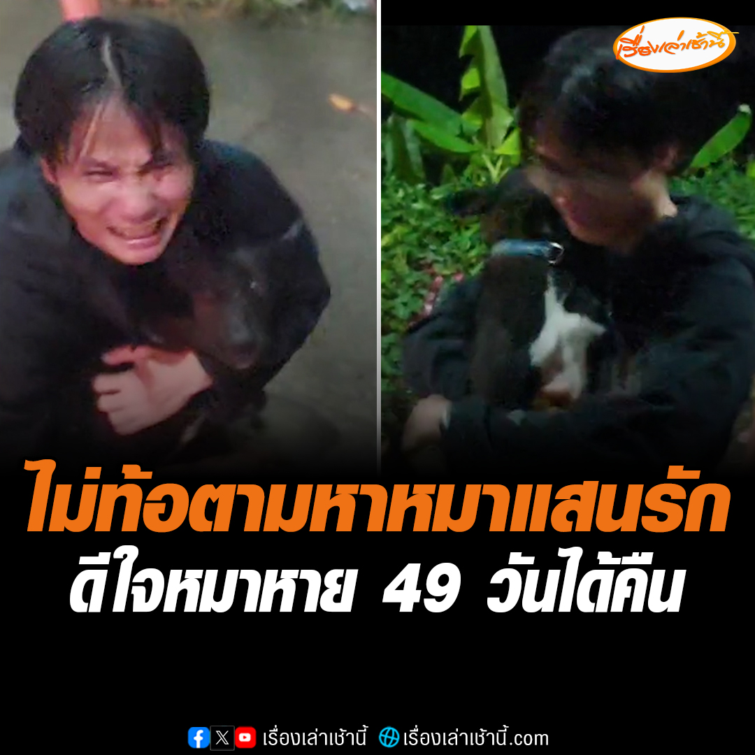 เปิดวินาทีที่เจ้าของหมา ถึงกับร้องไห้ด้วยความดีใจที่ได้เจอกับ "เจ้าเพนกวิน" หมาดำสุดที่รัก หลังหายออกจากบ้านไปนาน 49 วัน เผยตนมีหวังทุกวันที่ออกตามหา พร้อมขอบคุณพลังโซเชียลที่ช่วยแชร์และส่งกำลังใจจนได้เจอน้องอีกครั้ง #เรื่องเล่าเช้านี้ #ข่าวช่อง3 #ข่าวโซเชียล