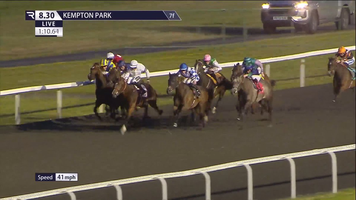 Callum Shepherd has been banned for 18 days for failing to ride out a finish in the dead-heat in the final race at Kempton tonight between his mount, Thorntonledale Max (far side), and Flavour Maker. The ban will be between September 4th to the 21st.