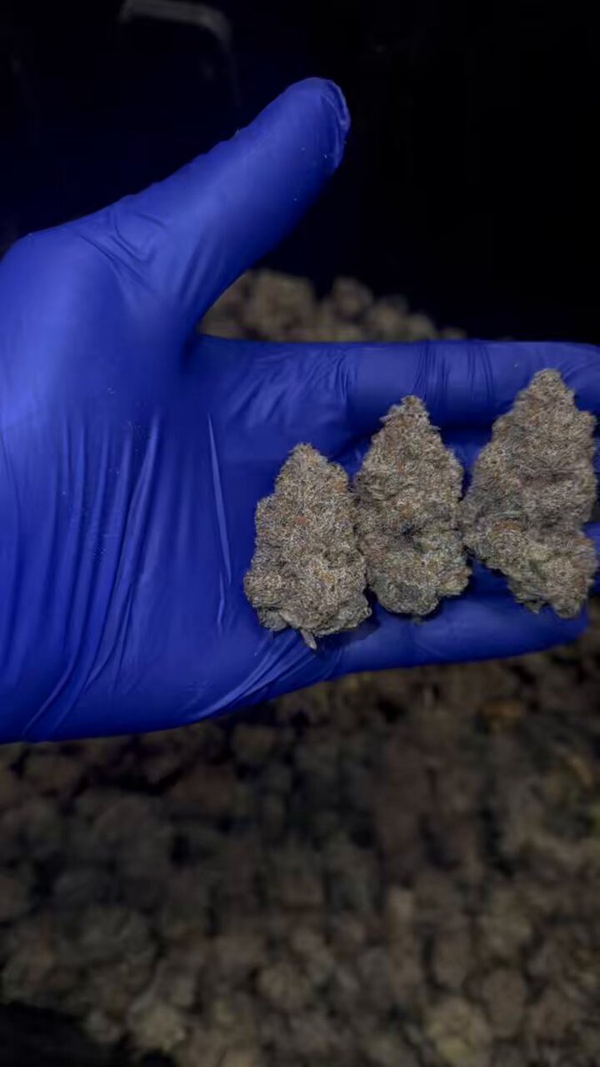 First batch of { Bat Shit } in New Mexico looking gorgeous