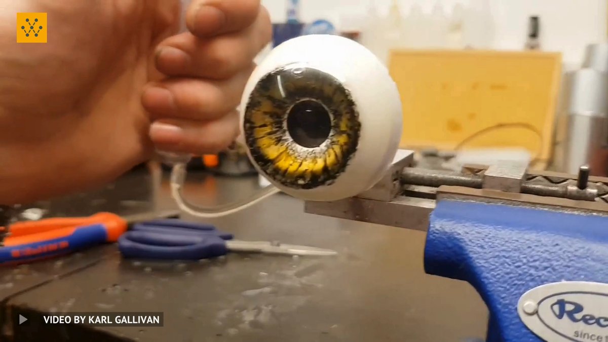 Developing an oil-filled dilated pupil mech on Jurassic World Dominion. It was designed using compressed clear silicone oil to create a magnifying lens over a flexible membrane. Video credit: Karl Gallivan (Karl Gallivan) #props #animatronics #engineering #technology #jurassicworld #jurassicworlddominion