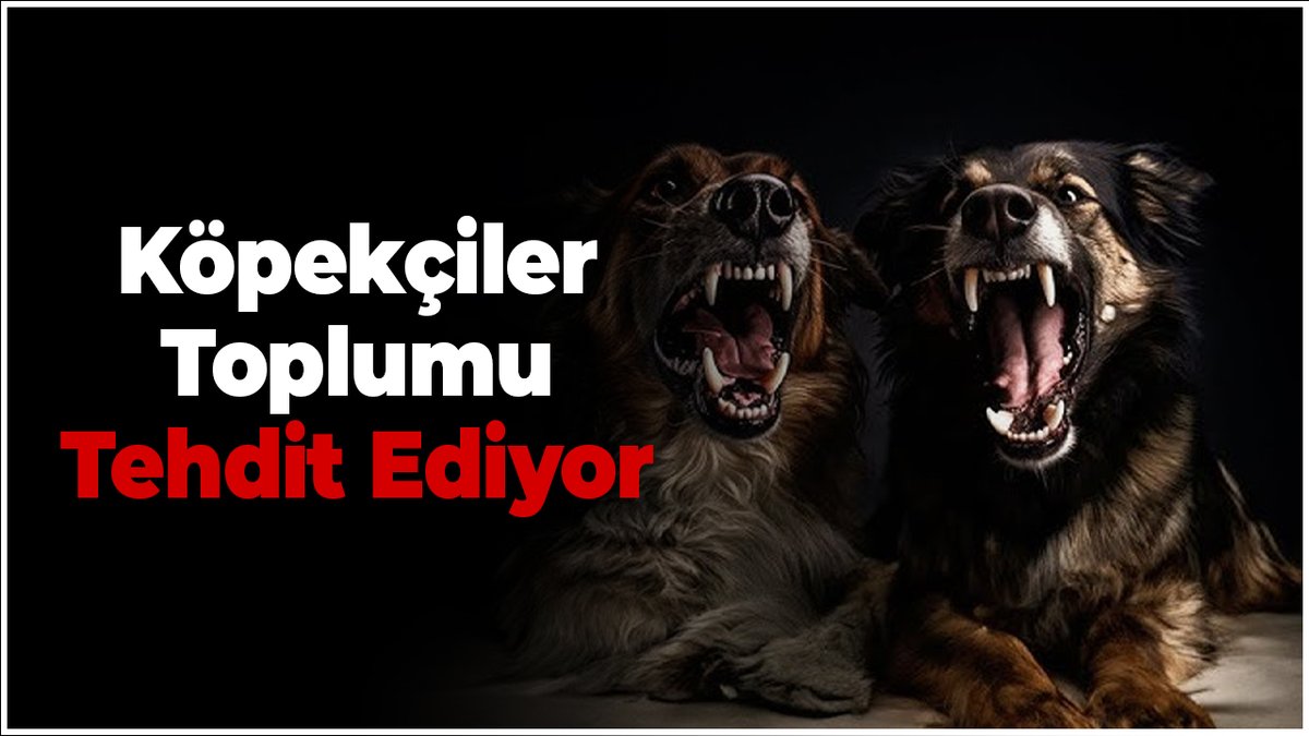 Köpekçi Provokatörler Toplumu Tehdit Ediyor!