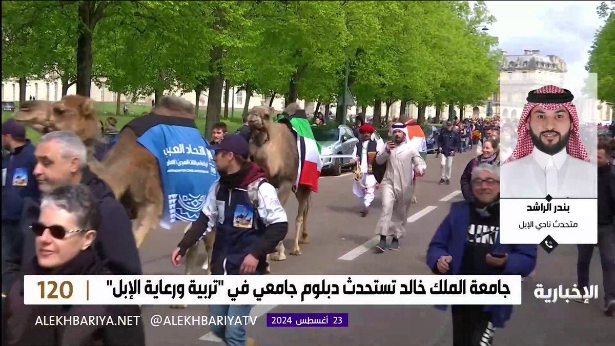 فيديو | متحدث نادي الإبل بندر الراشد: دبلوم "تربية ورعاية الإبل" يستهدف المهتمين بقطاع الإبل والراغبين بالاستثمار فيه #الإخبارية | #برنامج_120