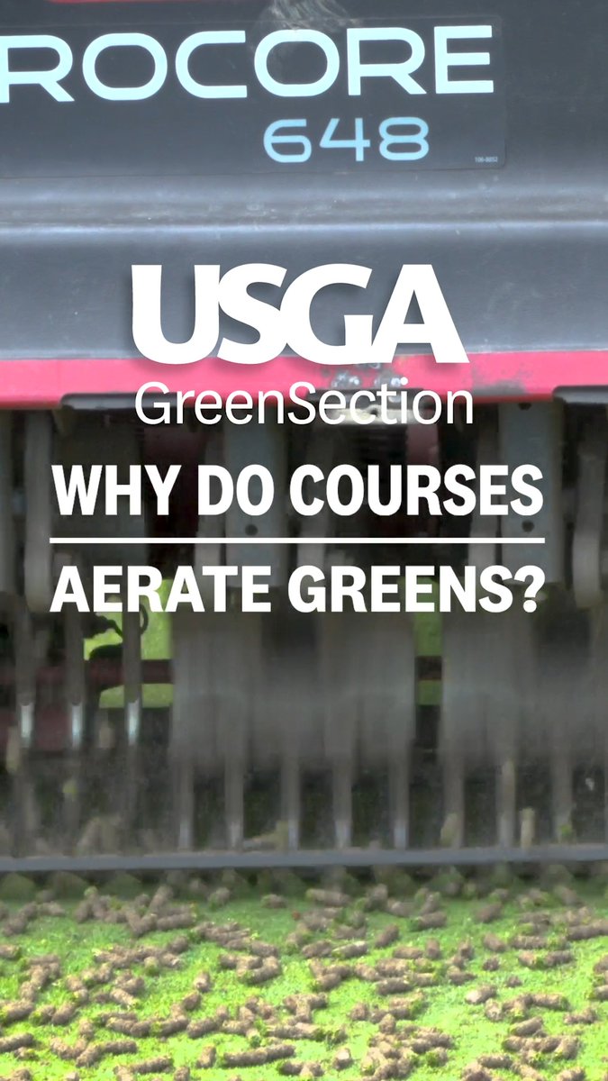 Aerated greens are 😩 But the long-term benefits vastly outweigh the short-term disruption. Here's how. USGA Green Section