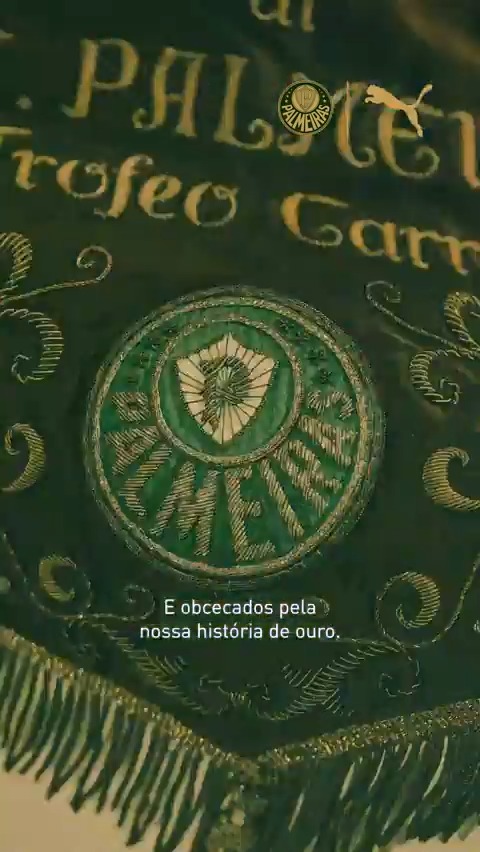 OFICIAL! A nova camisa III do Palmeiras. 🎥 Divulgação/Palmeiras