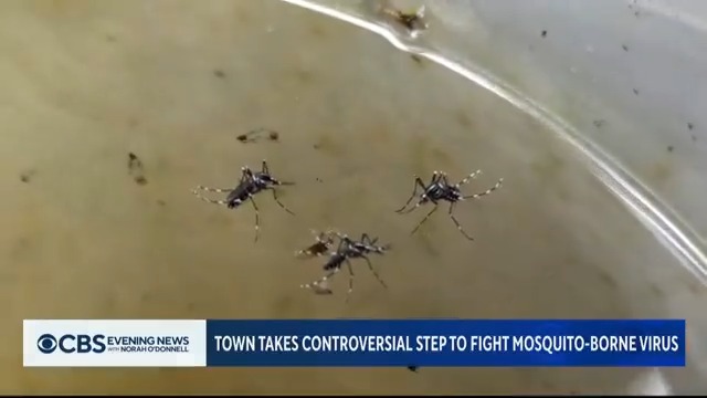 Massachusetts health officials are advising residents to stay indoors and imposing a 6 p.m. curfew on outdoor activities until at least October after detecting a human case of eastern equine encephalitis (EEE) spread by mosquitoes.