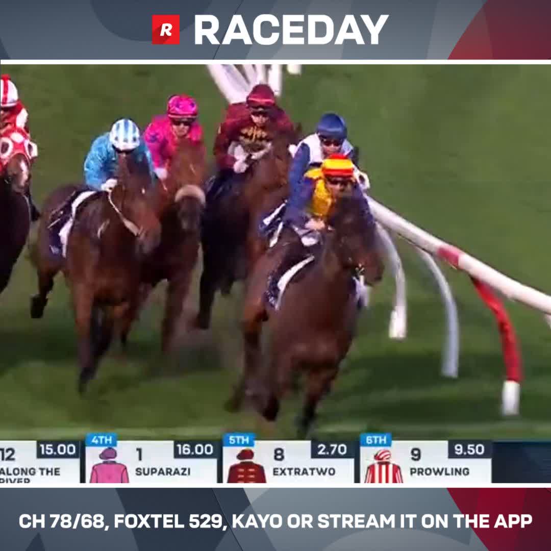 Extratwo gets the gap &amp; goes BANG! 💥 Ciaron Maher Racing Blake Shinn