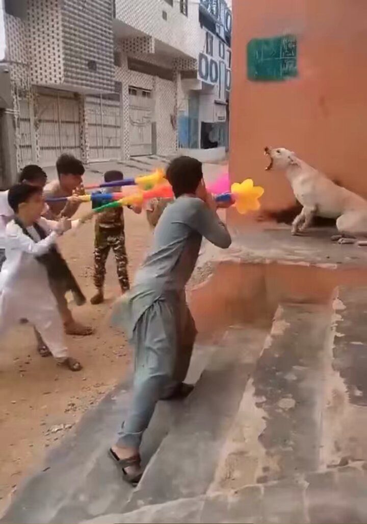 Questo è l’islam: Bambini musulmani che torturano un cane mentre un adulto filma e incoraggia a continuare. Perché se non lo sapete, tra le varie cose che odiano, ci sono anche i cani, perché sono “impuri”, così ha detto il loro profeta sposato con una bambina.