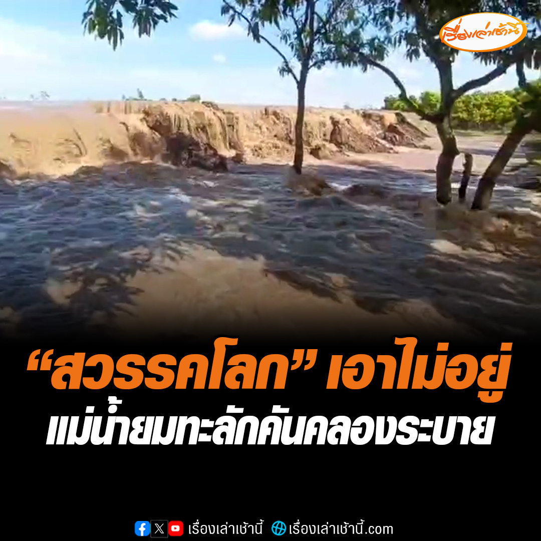 แม่น้ำยมไหลเข้าสุโขทัย ทะลักคันคลองระบาย อ.สวรรคโลก เอาน้ำไม่อยู่ ขณะที่เกษตรกร ใน อ.ศรีสัชนาลัย ต้องรีบพายเรือเก็บส้มหนีน้ำท่วม หลังน้ำจะทะลักเข้าตามลำห้วยสาขา เอ่อท่วมในสวน #เรื่องเล่าเช้านี้ #ข่าวช่อง3 #น้ำท่วม #สุโขทัย