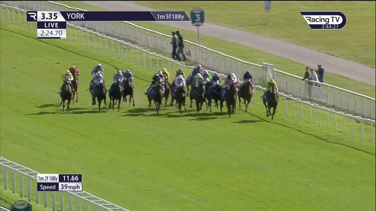 She is MAGICAL 🪄 𝐌𝐚𝐠𝐢𝐜𝐚𝐥 𝐙𝐨𝐞 wins the £500,000 Sky Bet Ebor Handicap. Henry de Bromhead lifts another big Flat prize! @wjlee24786 | #EborFestival