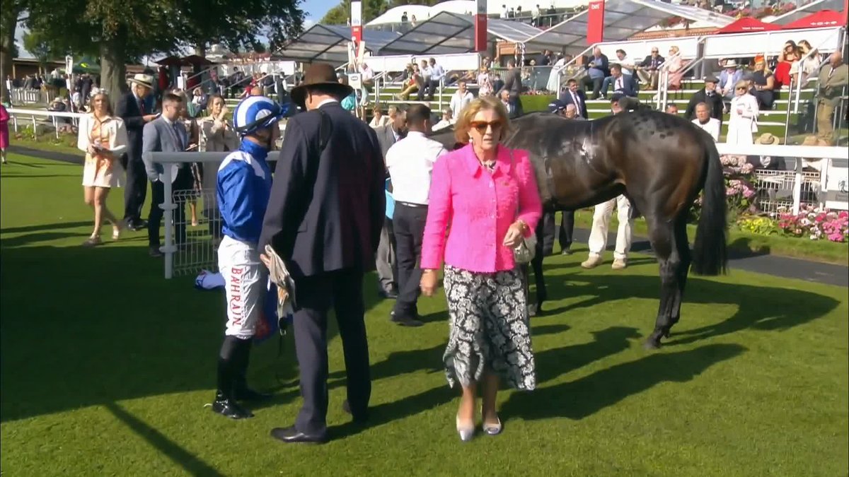 "I'm going to take the headgear off and put it on you now" 🤣 Somerville Lodge Stables giving the people what they want 😉 #ITVRacing | #EborFestival | Matt Chapman