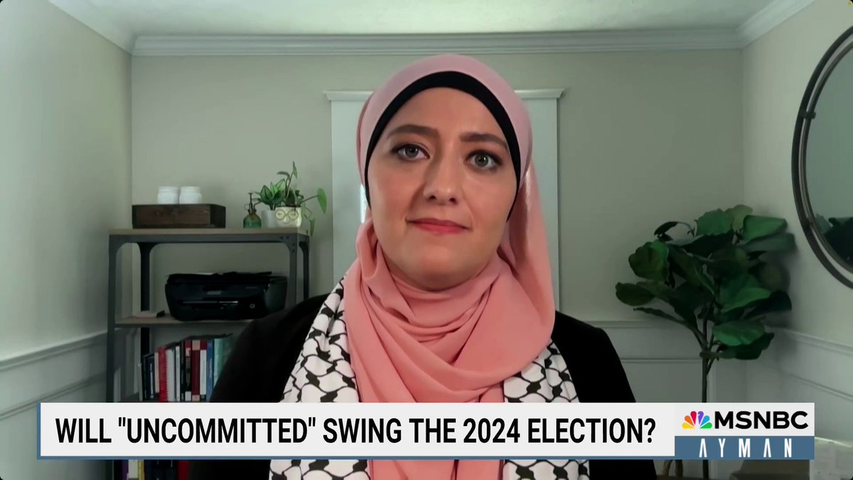 "We won the state by 11,780 votes...there are 76,000 registered Muslim voters in Georgia...and we know that about 55,000 Arabs live here... that's why I'm trying to bridge that gap between our party and our people." - GA State Rep. @Ruwa4Georgia on the DNC Palestinian snub.