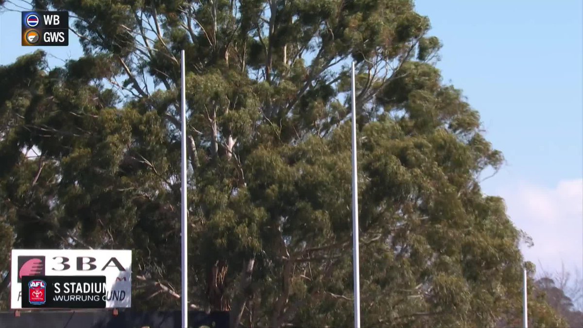 It's a bit windy in Ballarat 💨 #AFLDogsGiants