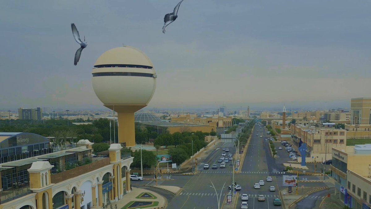 في أضخم مهرجان سنوي للتمور في العالم يواصل #كرنفال_بريدة_للتمور في منطقة القصيم جذب المتسوقين والتجار
