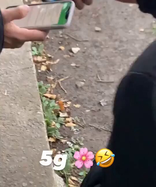 que elegancia la del tranza 🧾
