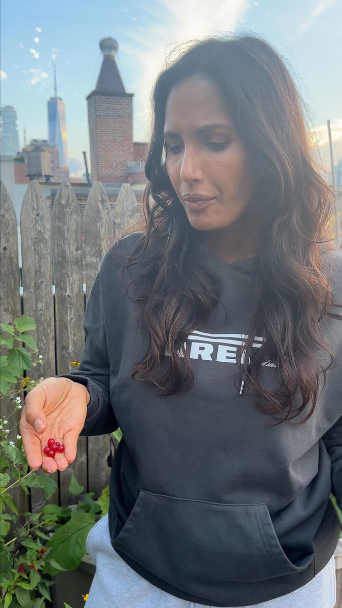 Currants! Like little jewels. What should I make with them other than jam??