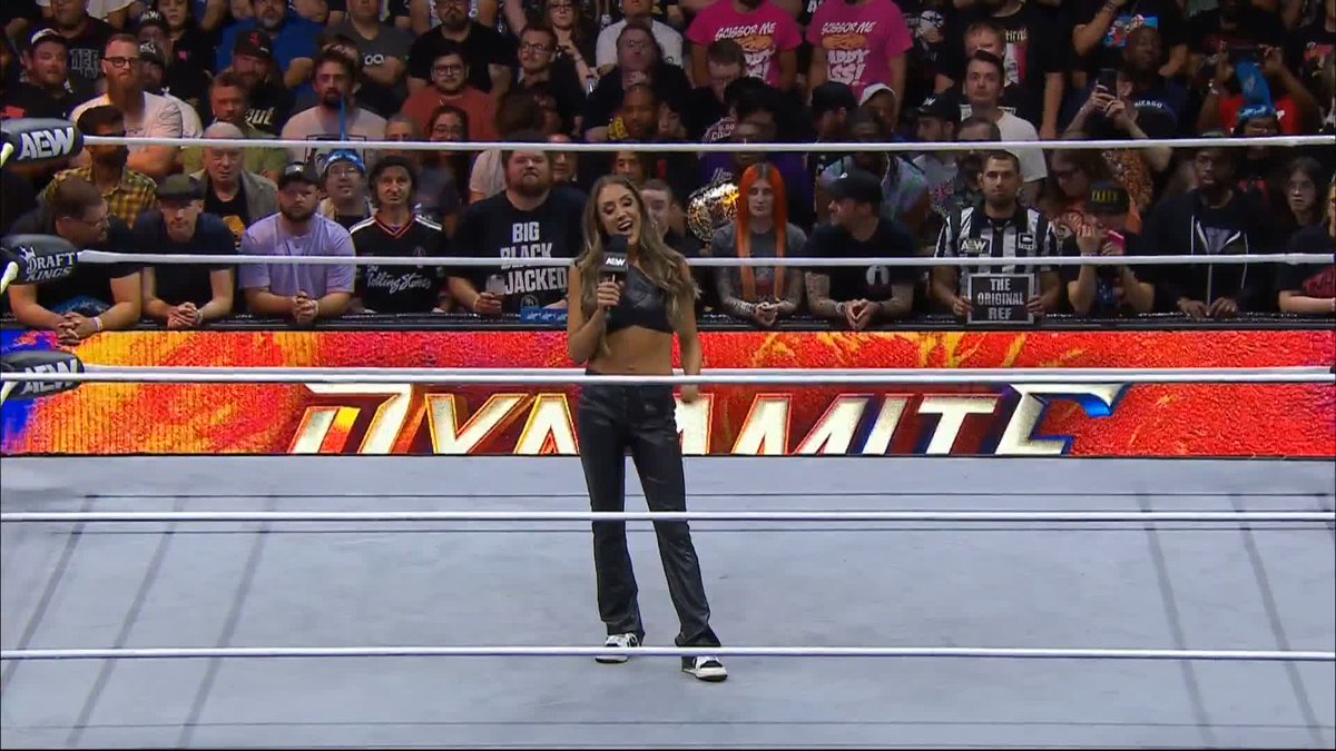 A reminder that Britt Baker had 2 herniated discs, an injured hip labrum and suffered a transient ischemic attack, commonly known as a mini-stroke. She returned to wrestling after 10 months and had one match before All In. What were we expecting?