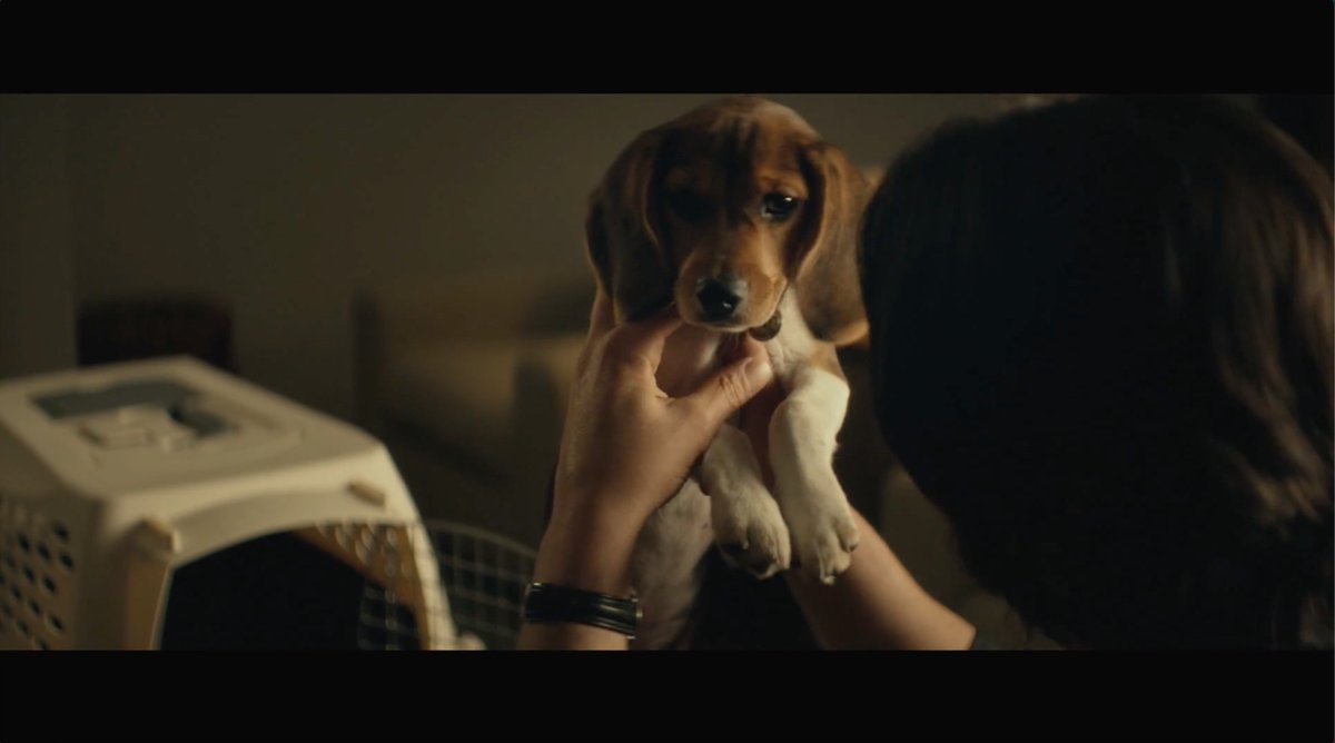Love is a four-legged word. Right, John? #InternationalDogDay