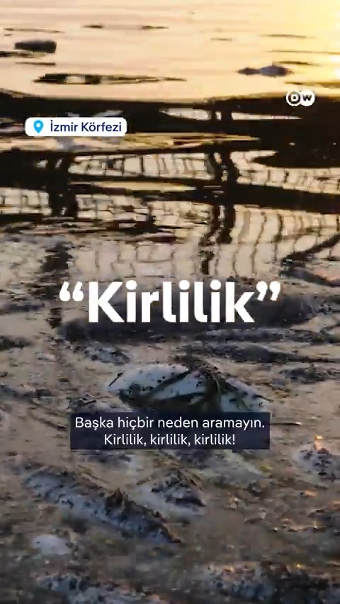 "Deniz simsiyah... Leş gibi kokuyor camları açamıyoruz" "40 senedir burada oturuyorum böyle şey görmedim" İzmirliler körfezdeki balık ölümlerinin şaşkınlığı içinde Uzmanlara göre başka neden aramaya "gerek yok"; tek neden "kirlilik" Kazım Kızıl Dilek Şen