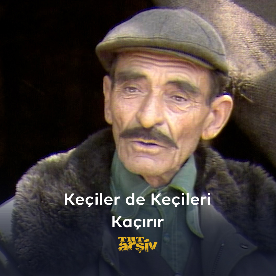 “Delirmiş o keçi!” #Muğla’da yaşayan çoban Ali amca, sürüsündeki çılgın keçiyi anlatıyor. 🐐