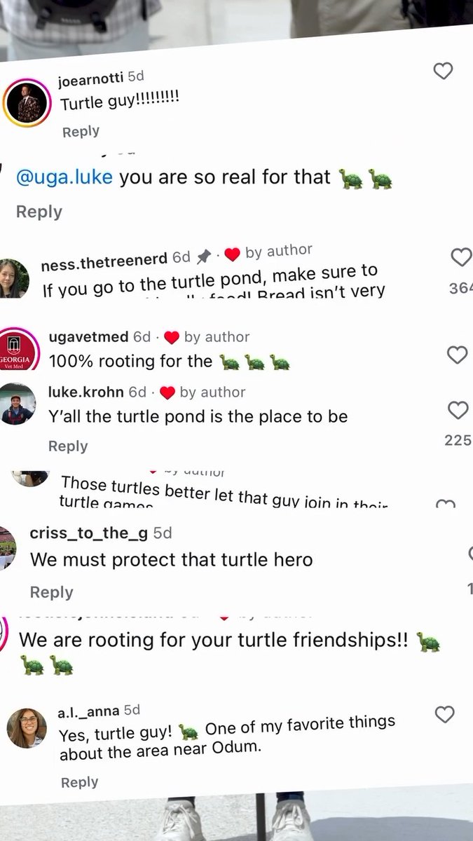 now presenting… turtle time with Luke 🐢