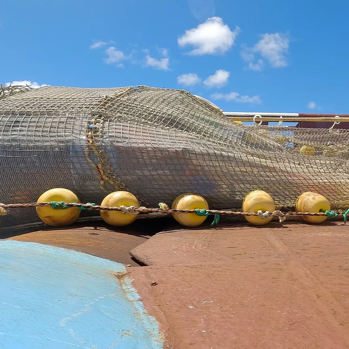 Plastic extraction #106 from the Great Pacific Garbage Patch: