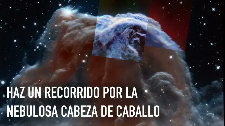 ¡Recorre la nebulosa Cabeza de Caballo! ✨🐴 Te presentamos las imágenes más recientes de esta nebulosa tomadas por NASA Webb Telescope, que revelan complejos detalles y estructuras antes desconocidos y contribuyen a nuestra comprensión de los viveros estelares.