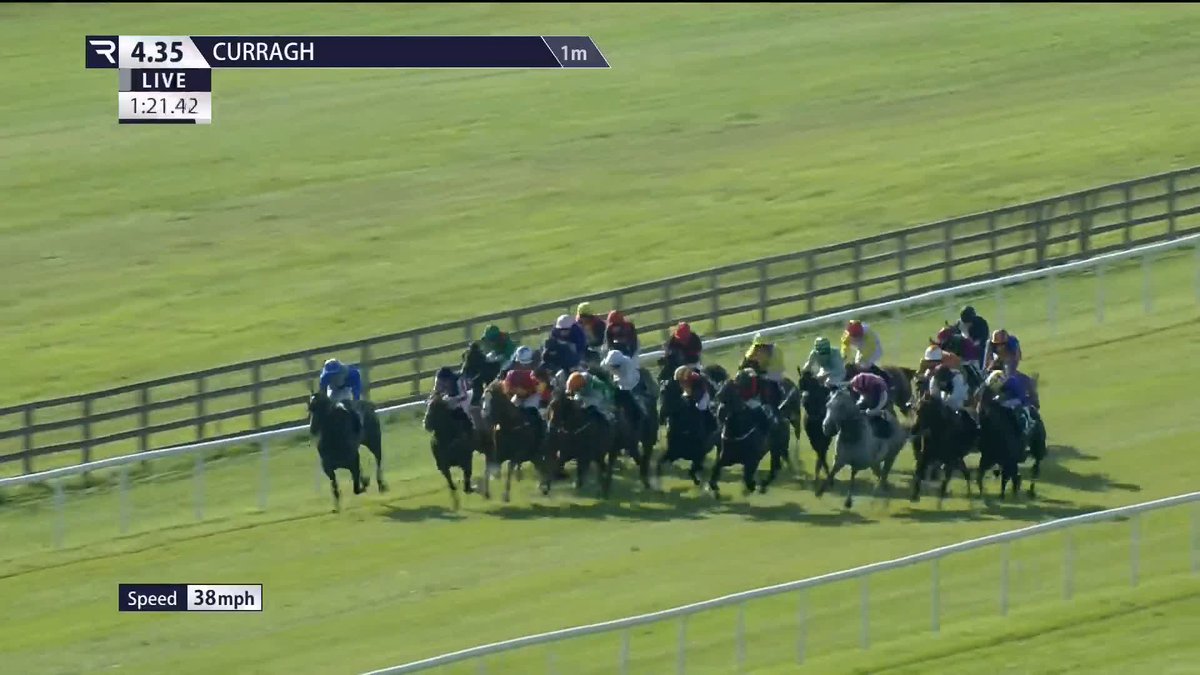 STOP WHAT YOU'RE DOING AND WATCH RYAN MOORE PRODUCE THE RIDE OF THE DAY 🤯 LAST TO FIRST IN A FURLONG AND A HALF... WHAT THE HELL?!!! 🎬 Racing TV