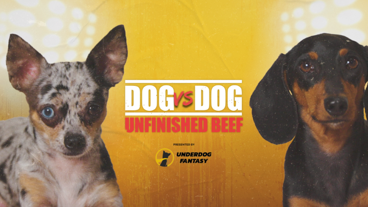 (Hot) Dogs face off in their own eating contest presented by @underdogfantasy. Don't miss the main event: CHESTNUT vs KOBAYASHI: UNFINISHED BEEF — Live on Netflix Monday, Sept 2 at 12pm PT / 3pm ET.