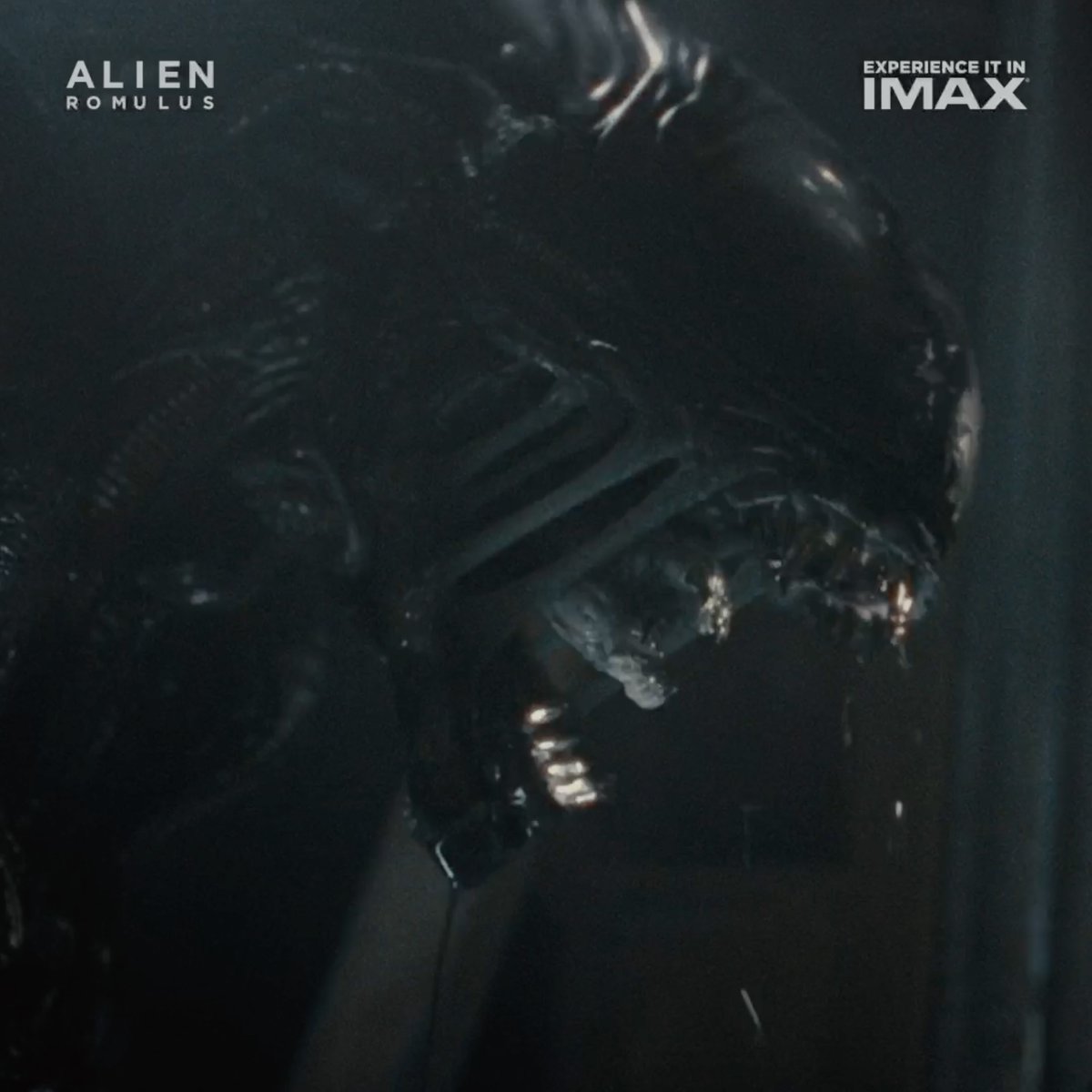 Experience #AlienRomulus in theaters now. Get tickets:
