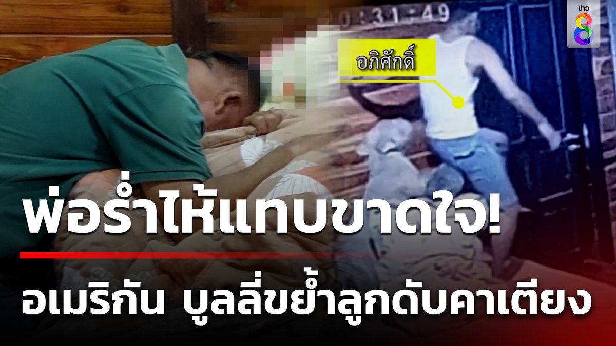 เกิดเหตุสลด เมื่อสุนัขพันธุ์อเมริกันบูลลี่ รุมขย้ำลูกชายเจ้าของบ้านวัย 18 ปี เสียชีวิตคาบ้าน พ่อกอดร่างร่ำไห้ปิ่มจะขาดใจ #คุยข่าวเช้าช่อง8 #อเมริกันบูลลี่ #หมากัด #ข่าวช่อง8 #ข่าวช่อง8ที่นี่ของจริง #ข่าวออนไลน์ช่อง8