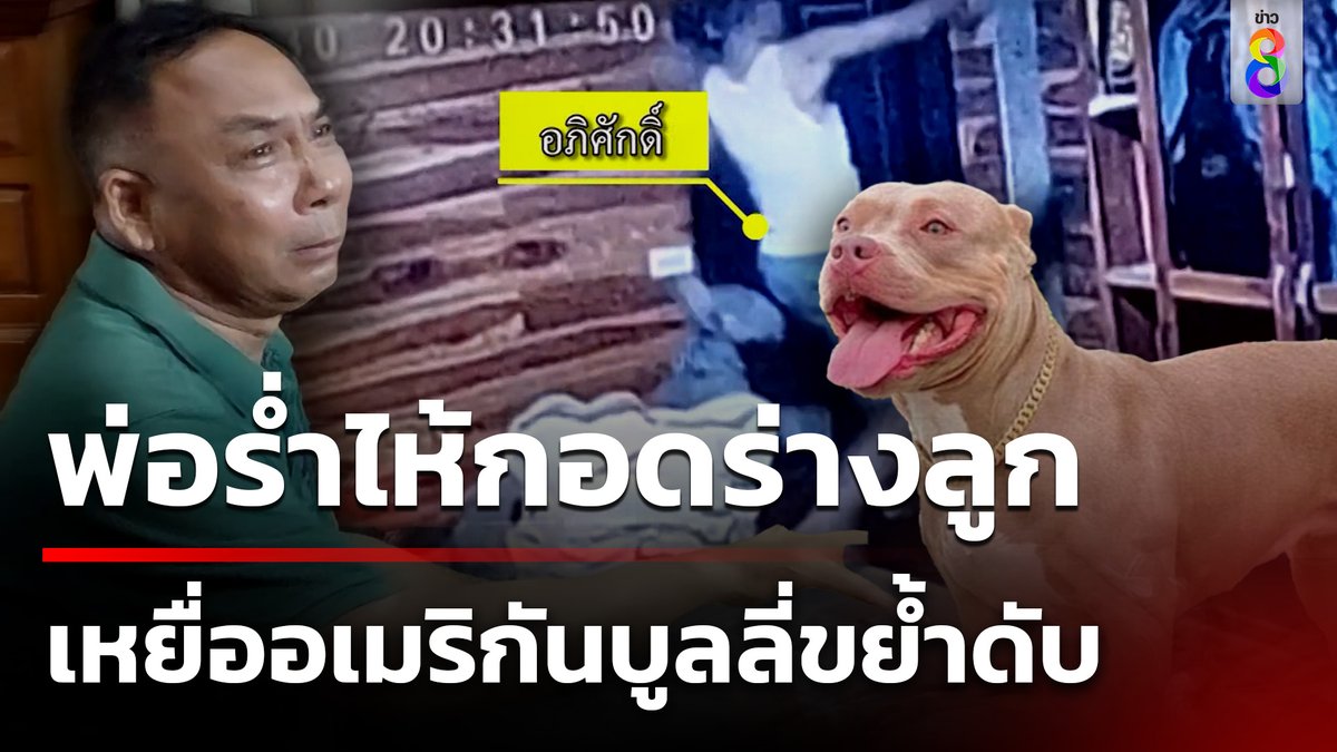 ทำใจเลี้ยงต่อไม่ได้! อเมริกันบูลลี่ 3 ตัวขย้ำหนุ่ม 18 ดับคาเตียง ย้อนไปดูนาทีพ่อกอดร่างร่ำไห้ใจจะขาด #ข่าวใหญ่ช่อง8 #อเมริกันบูลลี่ #หมากัด #ข่าวช่อง8 #ข่าวช่อง8ที่นี่ของจริง #ข่าวออนไลน์ช่อง8