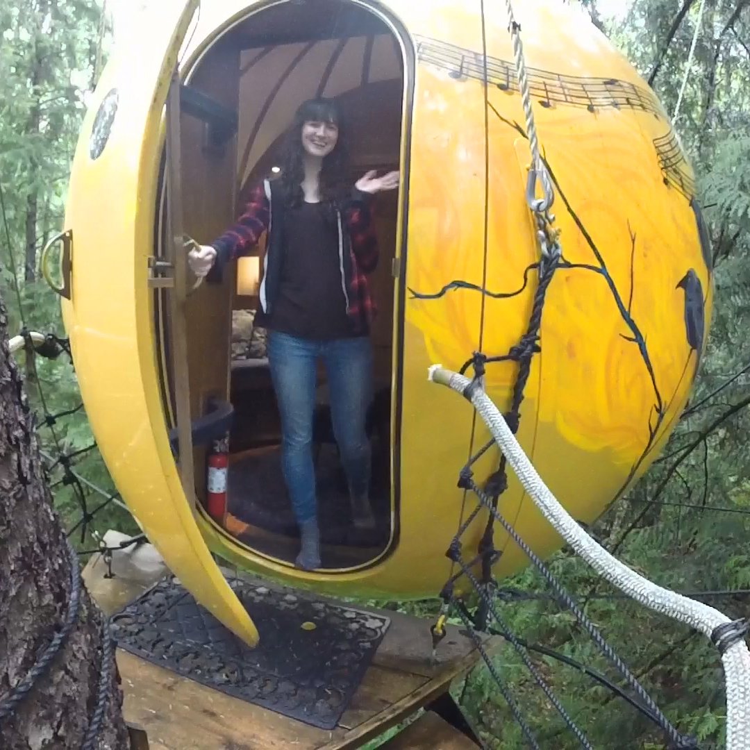 8 incredible tree houses around the world 🌳