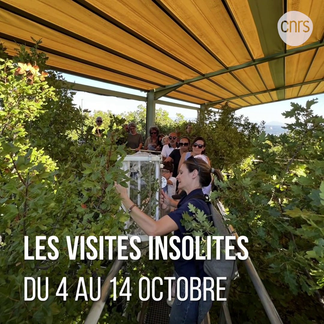Côtoyez l’étonnant, le surprenant et l’extraordinaire durant les visites #CNRSinsolite organisées par le CNRS 🌍 pour la #FDS2024 ! 📅 Du 2 au 22 septembre, candidatez et tentez de vivre une expérience unique en petits groupes, au cœur de la recherche. 👉