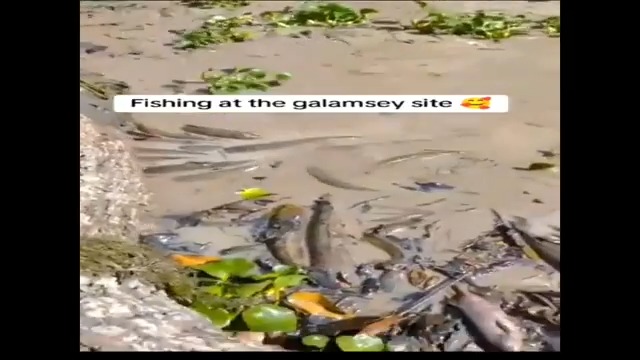 You are an enabler of galamsey activities in Ghana - Johnnie Hughes tells President Akufo-Addo #JohnniesBite
