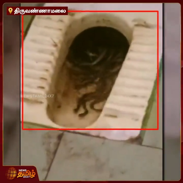 திருவண்ணாமலை செய்யாறு அரசு கலைக் கல்லூரி பெண்கள் கழிவறையில் பாம்புகள் நடமாட்டம்.. வெளியான அதிர்ச்சி வீடியோ..! #Tiruvannamalai #GovtCollege #Toilet #Snacks #ShockingVideo #NewsTamil #Newstamil24x7