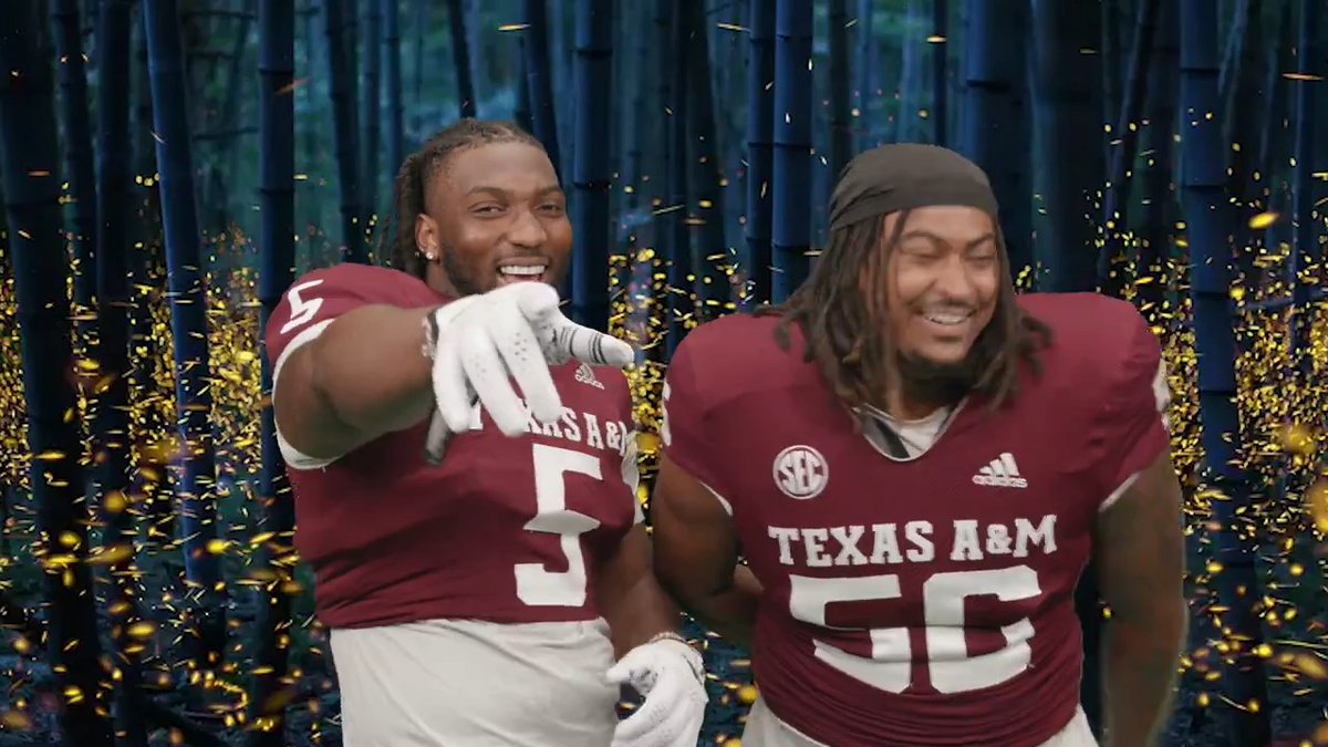🎬 𝐀𝐬𝐤 𝐭𝐡𝐞 𝐀𝐠𝐠𝐢𝐞𝐬: What is the most embarrassing song on your playlist? #GigEm | David Gardner's Jewelers