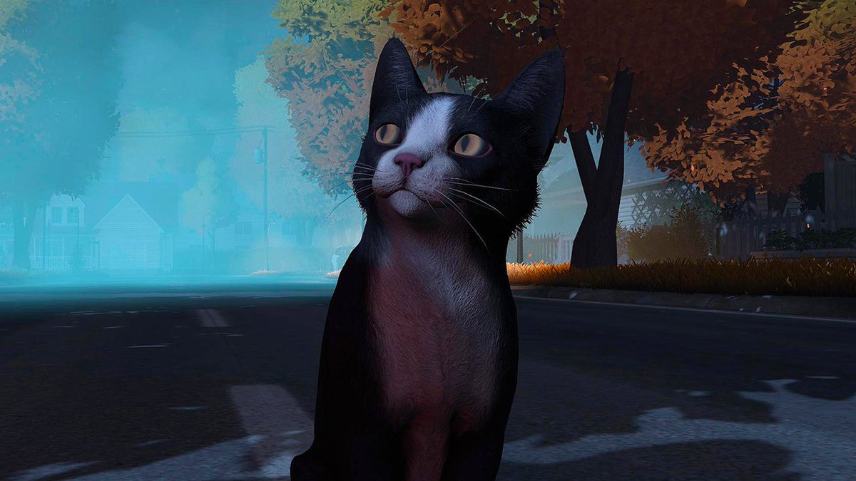 Copycat is an upcoming narrative-driven game in which a jealous stray cat steals the place in the home of a newly adopted shelter cat. It releases on September 19.